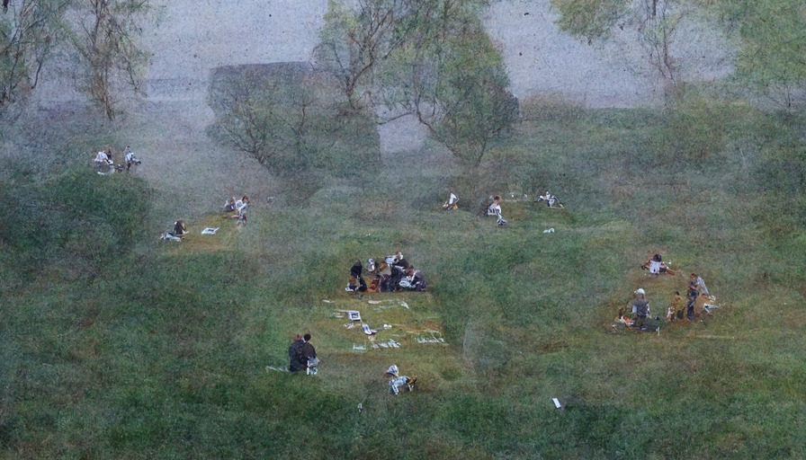Computers Collaborating in the Grass